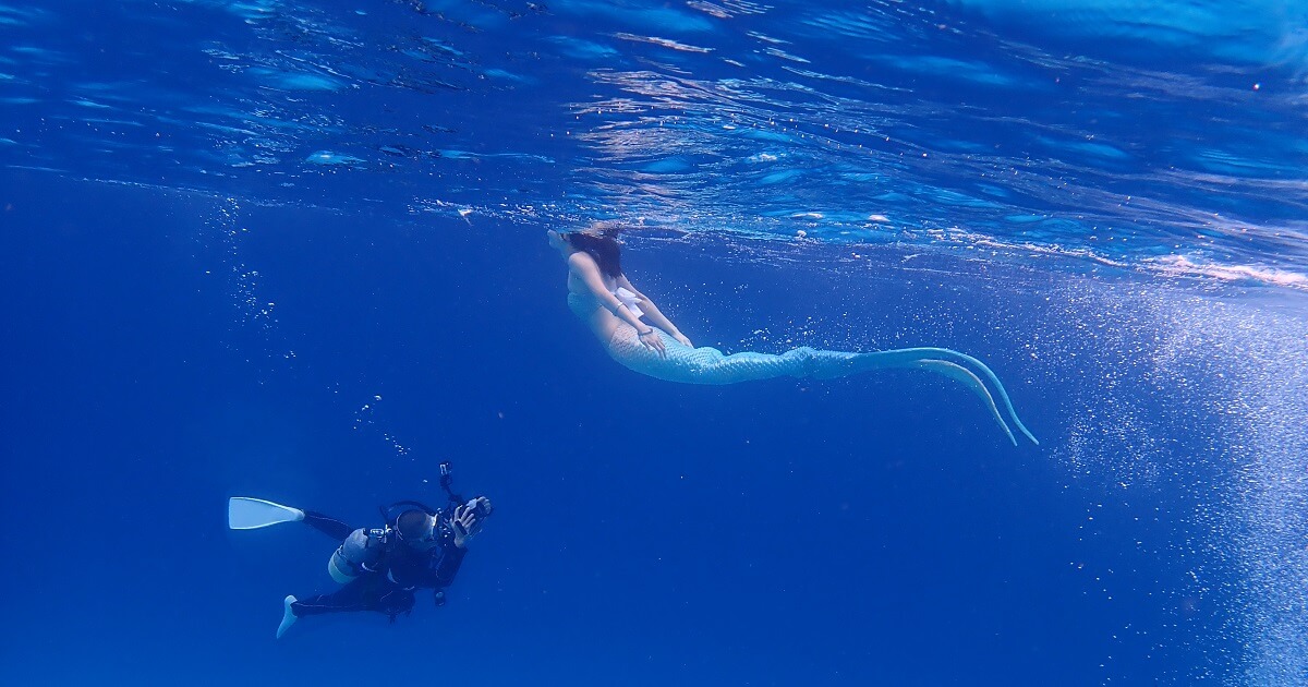 水中写真ダイブ