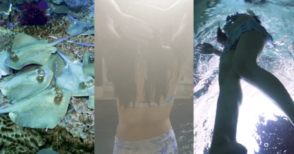 バリ島で撮影した水中映像のサムネイル画像